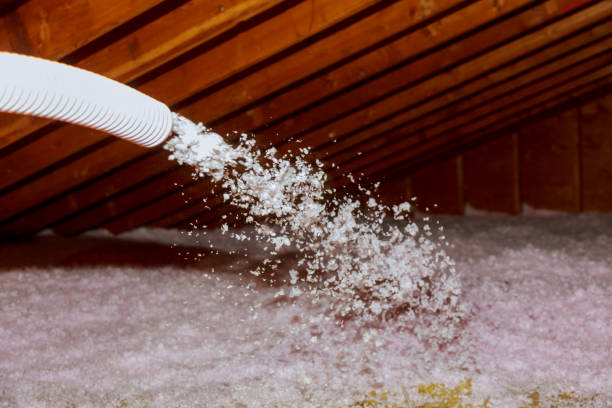 Best Soundproof Insulation Installation  in Lathrop, MO