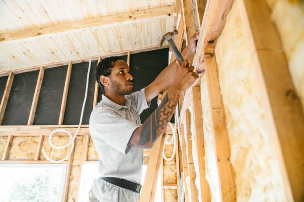 Best Fiberglass Insulation  in Lathrop, MO