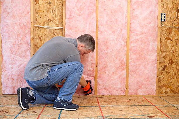 Best Insulation Contractor Near Me  in Lathrop, MO